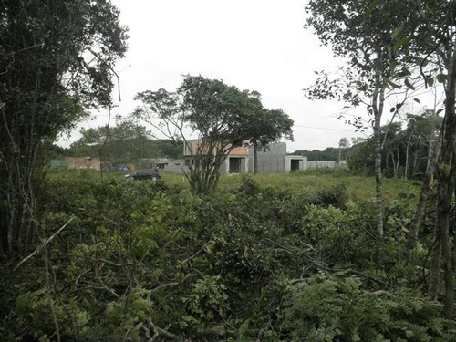 Imagem 1 de 10 de Terrenos Na Praia À Venda Em Itanhaem/sp - Compre O Seu Terrenos Na Praia Aqui! - 1359078