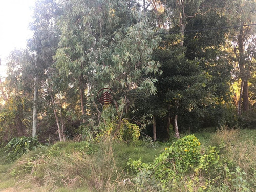 Imagen 6 de 7 de Oportunidad Terreno La Barra - La Barra El Tesoro
