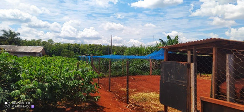 Imagem 1 de 12 de Chácara Com 3 Dormitórios À Venda, 2400 M² Por R$ 320.000,00 - Alto Da Boa Vista - Foz Do Iguaçu/pr - Ch0028