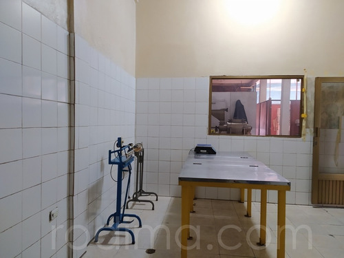 Imagen 2 de 10 de Negocio De Pulpa De Frutas, Fábrica En Venta