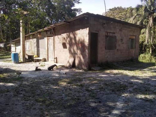 Imagem 14 de 14 de Chácara Com 2383 Mts No São Fernando Em Itanhaém - 5984 Npc