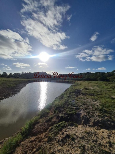 Imagen 7 de 8 de Venta Chacra 19 Has En Medellin, Manantiales (camino Que Une Ruta 104 Con Boya Petrolera)