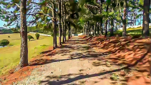 Imagem 4 de 14 de Terreno A Venda No Bairro Ponte Alta - Atibaia, Sp - 304