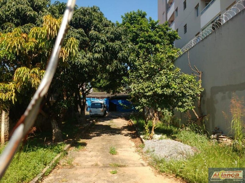 Imagem 5 de 10 de Lote À Venda, Vila Milton, Guarulhos - Te0127. - Ai3665