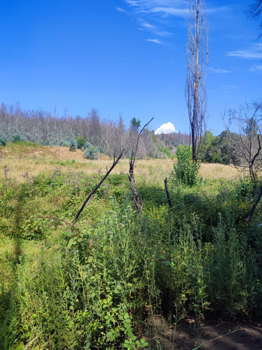 Venta De Terreno Agricola En Santa Juana