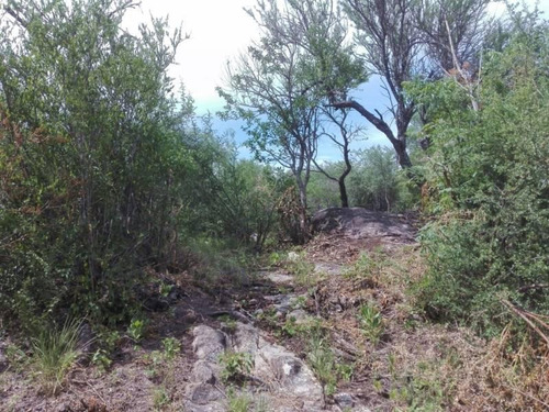 Imagen 19 de 30 de Venta Hermoso Terreno, Fondo De Arroyo, Las Rabonas, Nono, Traslasierra