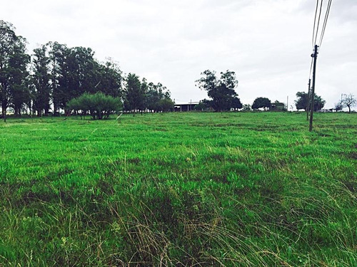 Campo En Venta En Lavalleja, 151 Hectáreas.