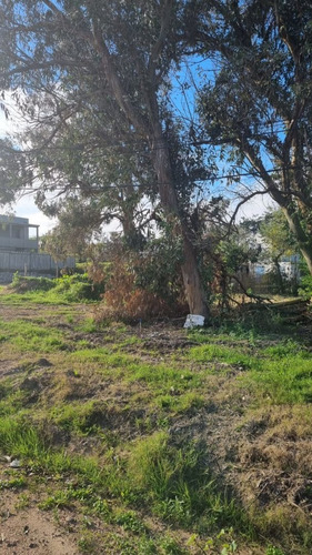 Imagen 6 de 10 de Lote En Venta En Balneario Buenos Aires (ref: Bpv-8158)