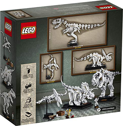 Kit De Construcción De Fósiles De Dinosaurios Lego Ideas 213