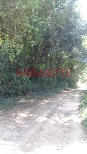 Imagem 5 de 5 de Terreno Em - Mairiporã, Sp - 333764