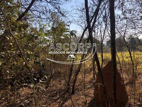 Imagem 21 de 22 de Ótimo Terreno Para Chácara No Ondinhas Em Piracicaba (código Ch00043) - Ch00043 - 69881080