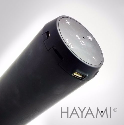 Imagen 3 de 5 de Parlante Bluetooth Luces Led Audiorítmico Hayami