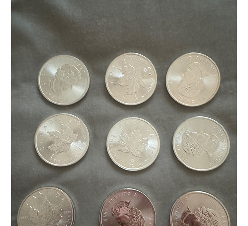 Pack 12 Monedas Platapura 1 Oz Maple Canadiense De 5 Dólares