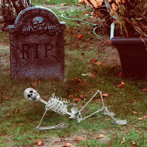 R Halloween Skeleton Prop Humano Tamanho Real Mão Lif