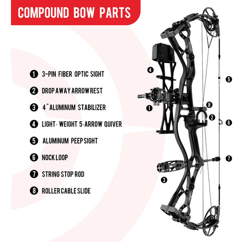 Kit Arco Comp. Sanlida Dragon 10 50-60lbs 27-30 Draw Negro