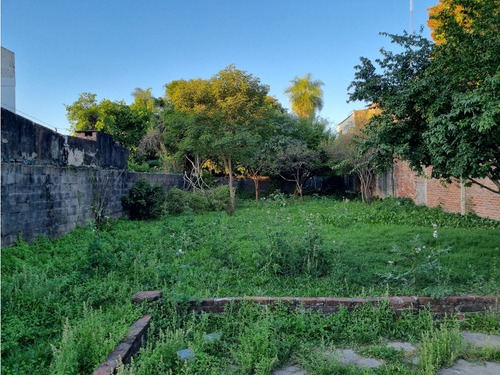 Terreno Céntrico 12x50 En Resistencia Sobre Calle Córdoba Al 665