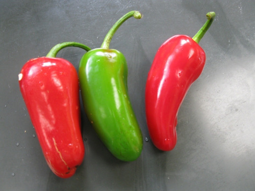 Sementes De Pimenta Iberaba Jalapenho 150 Sementes