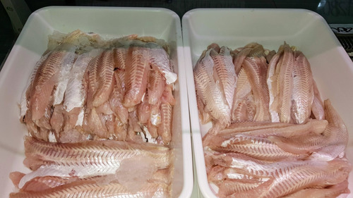 Filete De Merluza Fresco Sin Espinas Por Mayor