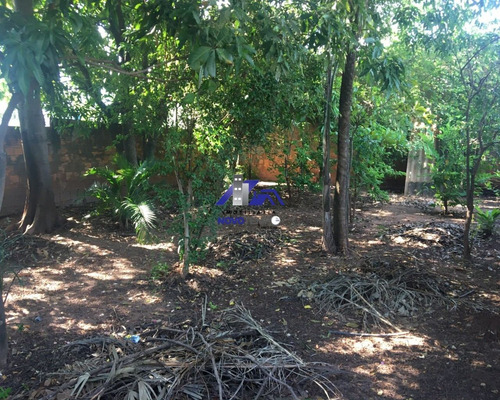 Imagem 26 de 26 de Casa Próximo A Faculdade Unitoledo - Araçatuba - Excelente Terreno - Ca01211 - 70729823