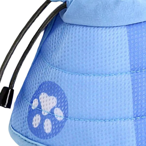 De Collar De Recuperación Para Gatos, Collar Protector
