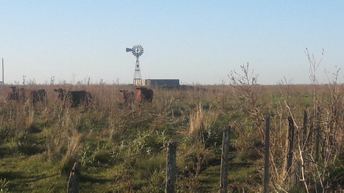 Campo En Venta En Chascomús - 183 Hectáreas Agrícola