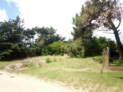 Imagen 2 de 2 de Lote | Alameda 205 1150 A 100 Mts Del Mar En Barrio Norte!!