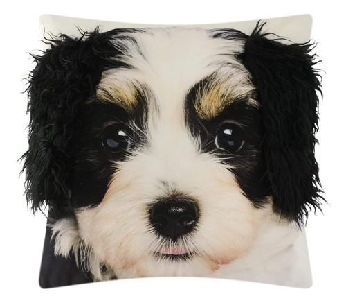 Fundas De Almohada Decorativas Border Collie 45 X 45 Cm
