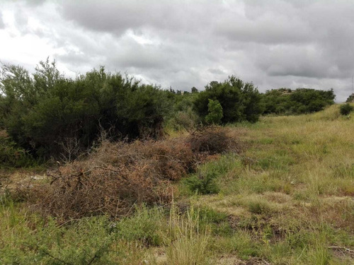 Terreno Sobre Ruta 38 Zona Aguila Blanca Con Escritura