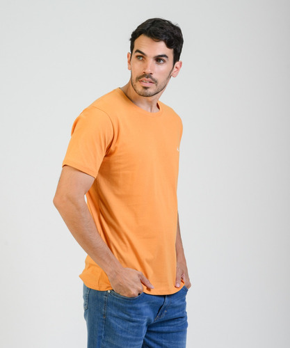 Remeras Hombre Brooksfield Algodón Premium Lisa Moda 1091b