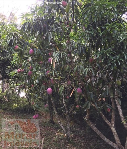 Imagem 2 de 15 de Chácara Para Venda Em Cajamar, Ponunduva - Rod188_2-1559937