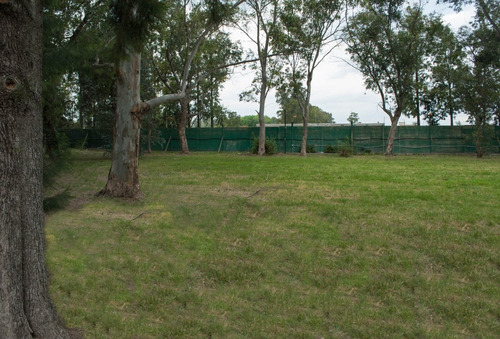 Imagen 3 de 14 de Venta De Amplio Lote, En Saint Thomas Oeste, Canning