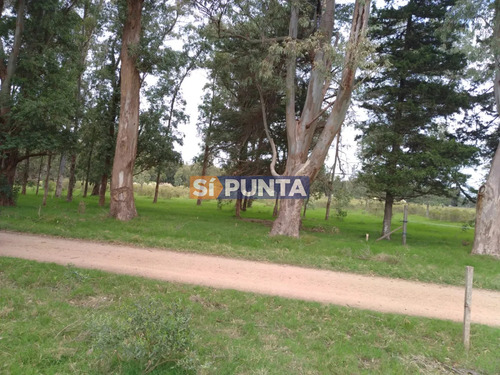 Oportunidad En Polo Club Country De Ruta 10 Kilómetro 172