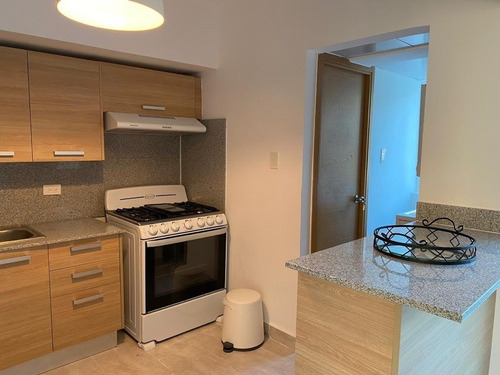 Apartamento Amueblado A Pasos De La Zona Colonial Frente Al Puerto De San Soucci