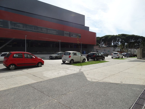 Local Comercial, Proximo A Avda. Italia!!!