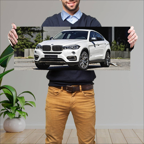 Cuadro 30x80cm Auto 2014 Bmw X6  223