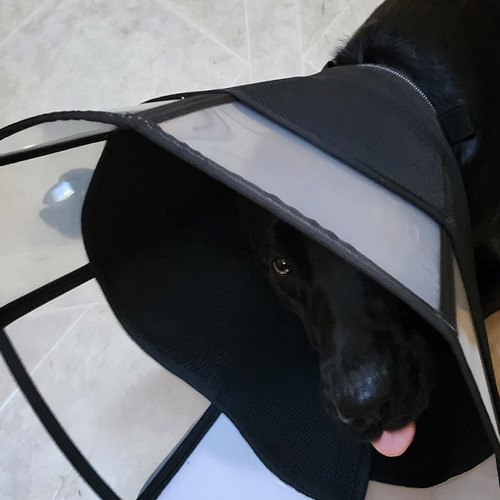 Cono De Perro Blando Cuello De Recuperación Para Perros Recu