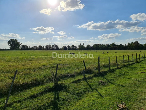 Imagen 15 de 30 de Terreno Fraccion En Venta O Permuta Ubicado En Mercedes, Resto De La Provincia