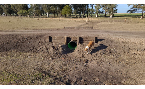 Tubo Caño Alcantarilla Agricola Campo Ecoline Dn300 X6metros