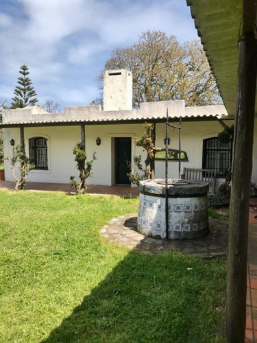 Quinta En Venta De 5 Dormitorios En Jose Ignacio