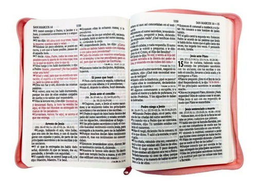 Biblia Reina Valera 1960 Letra Gigante Cierre Pjr Conc. Rosa