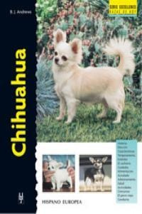 Chihuahua - Andrews B J