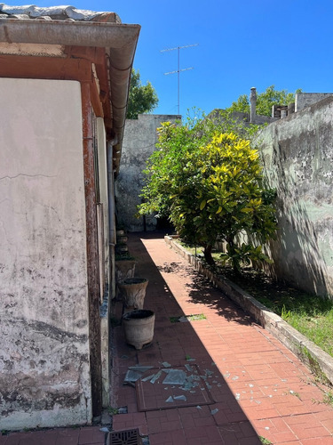 Imagen 8 de 20 de Terreno Céntrico De 10x50 Con Casa A Reciclar