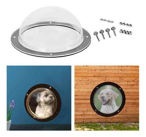 Perro Valla Ventana Domo Claro Paisaje Exterior Visor Para