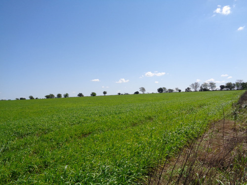 Campo Agrícola A Poca Distancia De Ruta Nacional 14 Camino Mejorado, A 240 Km De Buenos Aires, Apto Varios Destino
