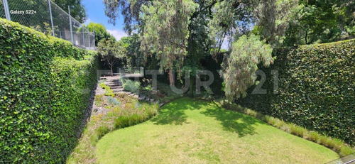 Lujosas Oficinas En Venta, Jardines Del Pedregal, Alvaro Obregón