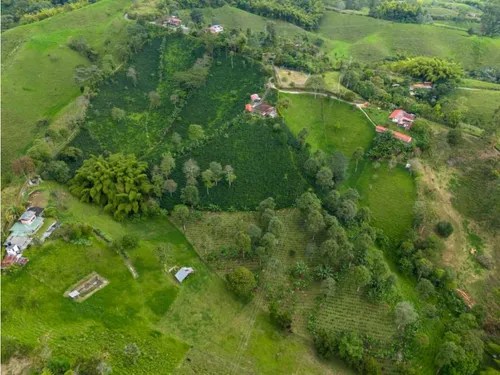 En Venta Finca Cafetera Certificada En Filandia Quindio
