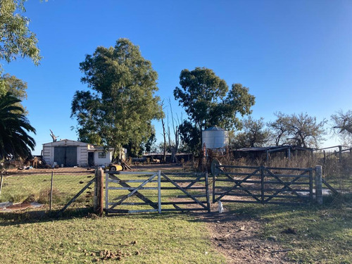 Campo En Venta Las Flores