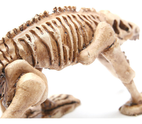 Zh Sroje B Ornament Aquarium Of Dinosaur Skeleton Aquarium