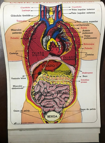 Atlas Pedagógico Brasileiro