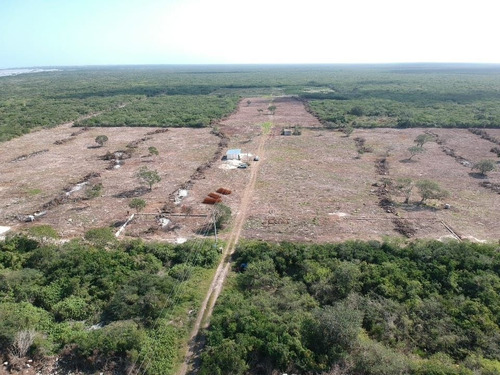 Imagen 9 de 21 de Terreno En Venta En Yucatan A 6 Minutos De La Playa Sn Crisa